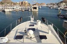Private Yacht for Snorkel, Sunset or Whale Watching