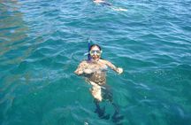 Cabo San Lucas Snorkel Tour All Included