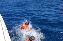 Whale Shark Adventure in Isla Mujeres and Cancun
