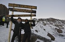 6 Days Kilimanjaro Lemosho route Climbing and Hiking Tour 