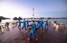 Overnight at 4 stars cruise - cheapest prices - high quality - all inclusions