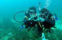 Scuba Diving for Beginners in Pula