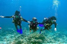 Small-Group Introductory Scuba Diving in Pula