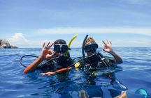 Small-Group Introductory Scuba Diving in Pula
