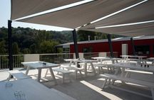 Olive Oil - Wine - Beer Private Tour (price per group of 6)