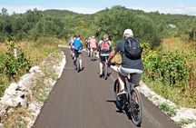 Korcula Bike & Wine Tour - Mountain Bike Tour