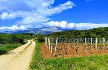 Korcula Bike & Wine Tour - Mountain Bike Tour