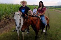 Cali: Horseback riding through beautiful landscapes and mountains