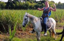 Cali: Horseback riding through beautiful landscapes and mountains
