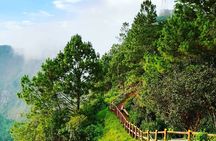 Combo Tour: San Salvador Volcano (El Boqueron) and Suchitoto colorful town