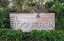 Combo Tour: San Salvador Volcano (El Boqueron) and Suchitoto colorful town