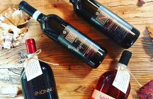 Visit and tasting of 3 D.O.C.wines Fontechiara
