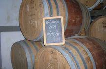 Visit and tasting of 3 D.O.C.wines Fontechiara