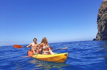 Kayak with Dolphin & Turtle Watching Private Tour 