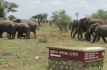 2 days_1 night Mwanza to Serengeti Tour Package