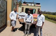 2 days_1 night Mwanza to Serengeti Tour Package