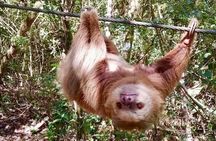 Zip Line, Rappel, Hiking La Carpintera Tour in San Jose