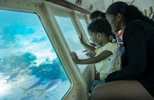 Underwater Seaworld Explorer Experience in Curaçao