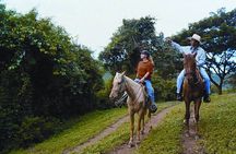 Horseback Riding in Hopkins