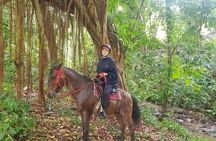 The Ultimate Dominican Horseback Riding Adventure