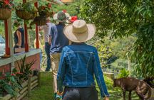 Private tour: Colombian Coffee Farm & Culture from Medellin - From crop to cup!