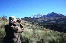 Trekking Through The Volcanoes