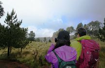 Trekking Through The Volcanoes