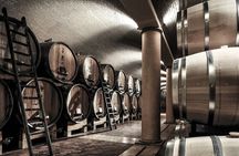Vineyard Tour with Light Lunch in Valpolicella