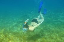Snorkeling Adventure with East Nusa Penida Tour All Inclusive