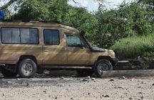 4-Day Safari to Tarangire ,Serengeti and Ngorongoro crater from Arusha