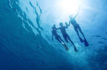 Private Blue Lagoon and Trogir Half-day Speedboat Tour from Split