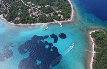 Private Blue Lagoon and Trogir Half-day Speedboat Tour from Split