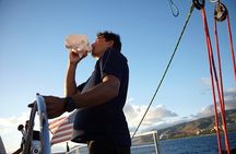 Kona Coastline Escape: Sail with Dolphins & Turtles on Honi Olani