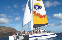 Kona Coastline Escape: Sail with Dolphins & Turtles on Honi Olani