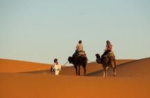 Private 3 Days Trip From Meknes To Marrakech Via Merzouga Desert 