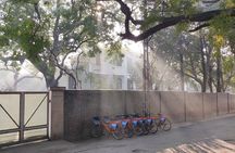 Delhi By Cycle & Old Delhi