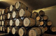 Vineyard Tour with Light Lunch in Valpolicella