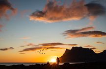 Tour of the authentic fjords of Kvaløya to Sommarøy
