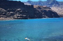 Day Tour in North of Gran Canaria with Wine Tasting