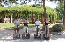 Turia Gardens Private Segway Tour