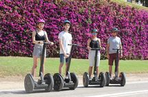 Fun Private Segway Tour in Valencia