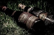 Vineyard Tour with Light Lunch in Valpolicella