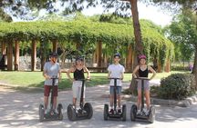 Valencia 3 Parks Private Segway Tour.
