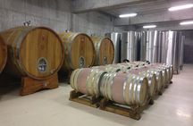 Day trip from Bratislava: Winery Tour with Wine Tasting in the Countryside
