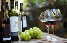 Bratislava City Wine Tasting Tour