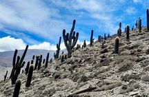 Day long Hike to Inca ruins