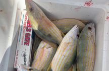 8HR Catch and Grill in Turks and Caicos Islands