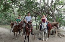 Horseback Riding on the beach 