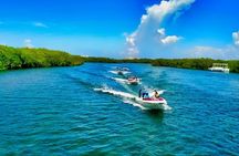 Speedboat across the Mangroves & Snorkel with Jet Ski Rental
