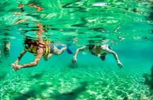 Speedboat across the Mangroves & Snorkel with Jet Ski Rental